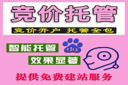实战案例：SEM外包公司助力企业精准营销